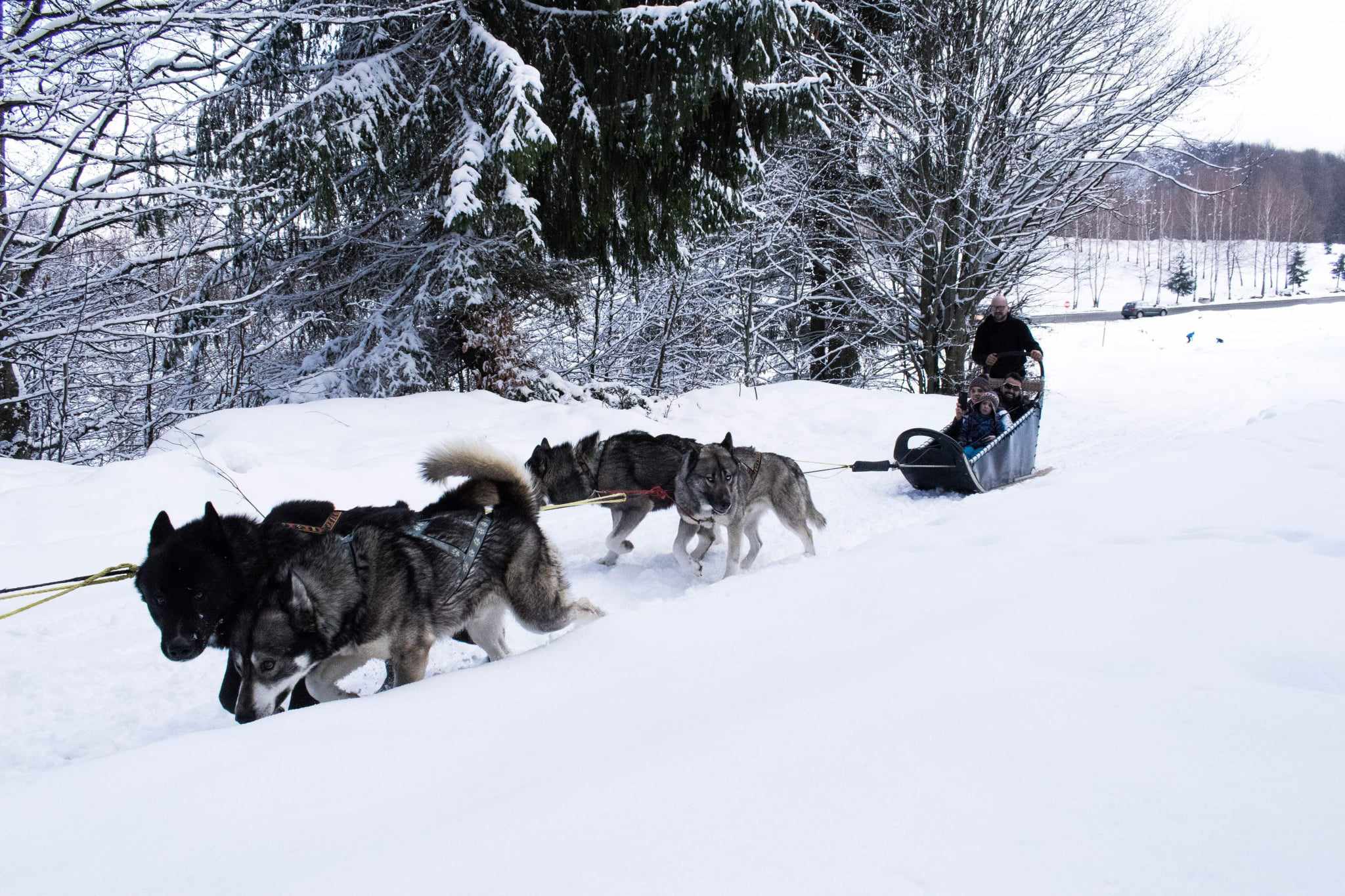 Quiralu Lot Soldats Policiers Canadiens Sur Raquettes Avec Chiens De Traîneaux – Rare